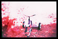 Picture Title - My brother's ride - Color Infrared