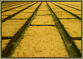 Picture Title - Goodbye Yellow Brick Road