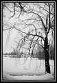 Picture Title - Winter landscape - I