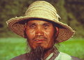 Picture Title - chinese farmer