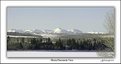 Picture Title - Alberta Panoramic View