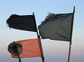 Picture Title - Flags