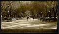 Picture Title - Stroll thru Central Park