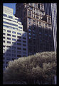 Picture Title - New York Shadow