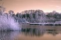 Picture Title - Frozen Lake (IR)