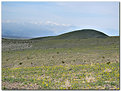 Picture Title - Death Valley Trio