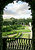 Window through the garden