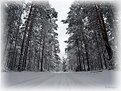 Picture Title - Winter road