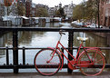 Picture Title - Pink Bike in Amsterdam