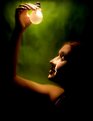Picture Title - Magic Light