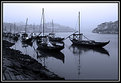 Picture Title - Douro e Barcos