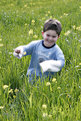 Picture Title - Tall Grass-Little Man
