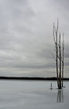 Picture Title - Alone