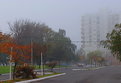 Picture Title - Neblina 2