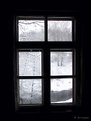 Picture Title - Alone window to last winter