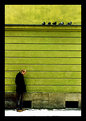 Picture Title - A man & 5 pigeons