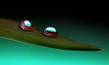 Picture Title - Drops on a Tulip Leaf