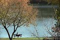 Picture Title - Fall Morning in Chicago