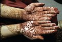 Picture Title - Henna ! (A temporary tatoo)