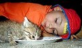 Picture Title - how does a kitten eat?