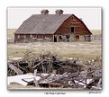 Picture Title - Old Prairie Cattle Shed