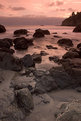 Picture Title - Muir Beach