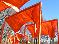 Picture Title - The Gates by Christo