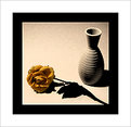 Picture Title - Passing Rose