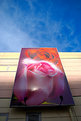 Picture Title - fine rose...