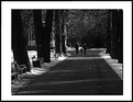 Picture Title - Take a walk