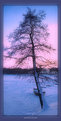 Picture Title - Winter dusk