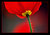 Poppy Light