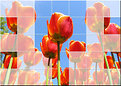 Picture Title - tulips for Elisa