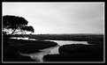 Picture Title - Ria Formosa - IV (B&W)