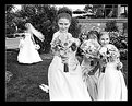 Picture Title - "Total Brides Maids"