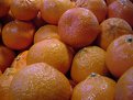 Picture Title - Tangerines!