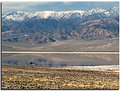 Picture Title - Death Valley Canoeing