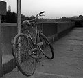 Picture Title - old bicycle