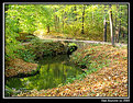 Picture Title - Bridge from autumn