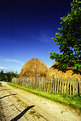 Picture Title - <