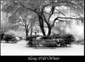 Picture Title - Long Cold Winter