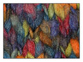 Picture Title - wool