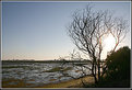 Picture Title - Afternoon in Ria Formosa