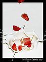 Picture Title - Strawberries & Cream