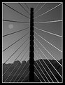 Picture Title - Puente Tirantado