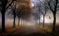 Picture Title - The Long and Winding Road