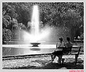 Picture Title - Sunday in the park