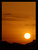 Ras Ghareb Sunset