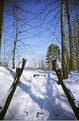 Picture Title - Sunny day in Cleveland