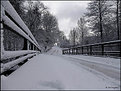 Picture Title - Winter road 2